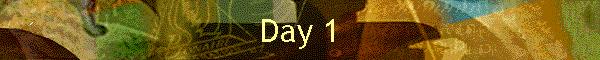 Day 1