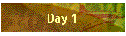 Day 1