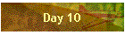 Day 10