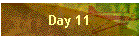 Day 11