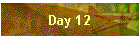 Day 12