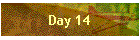 Day 14