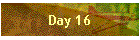 Day 16