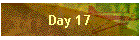 Day 17