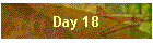 Day 18