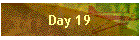 Day 19