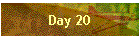 Day 20