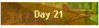 Day 21