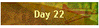 Day 22