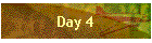 Day 4