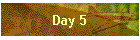 Day 5